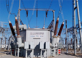 ���������翹��